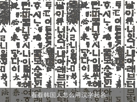 看看韩国人怎么用汉字起名