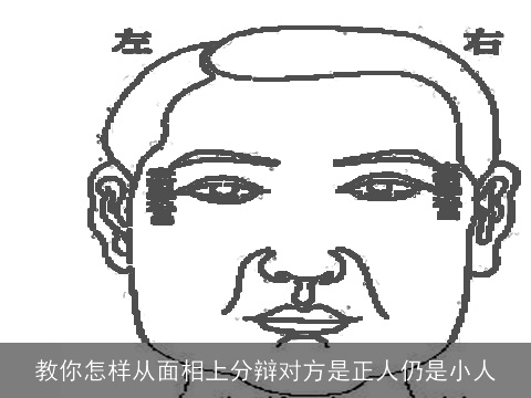 教你怎样从面相上分辩对方是正人仍是小人