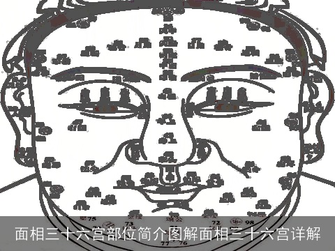 面相三十六宫部位简介图解面相三十六宫详解