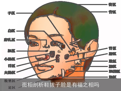 面相剖析鞋拔子脸是有福之相吗