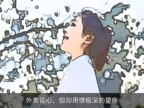 外表花心，但却用情极深的星座