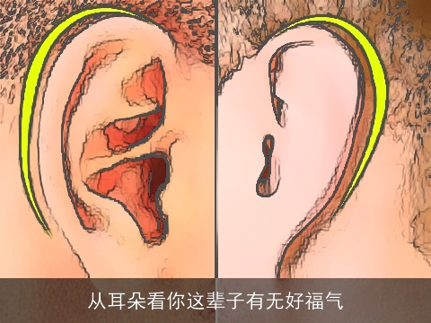 从耳朵看你这辈子有无好福气