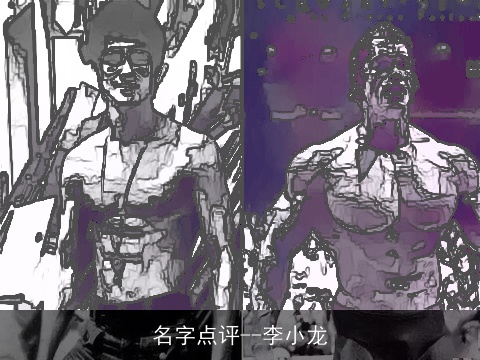 名字点评--李小龙