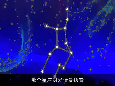 哪个星座对爱情最执着