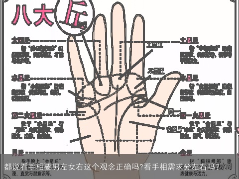 都说看手相要男左女右这个观念正确吗?看手相需求分左右吗？...