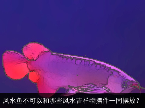 风水鱼不可以和哪些风水吉祥物摆件一同摆放？