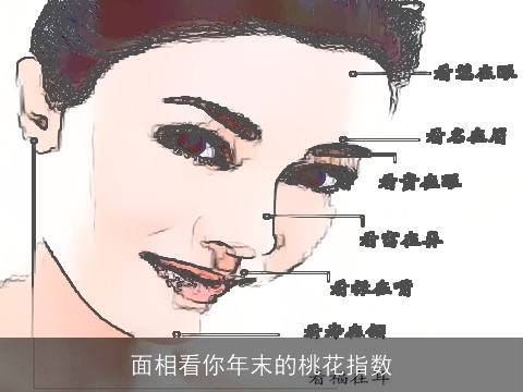 面相看你年末的桃花指数