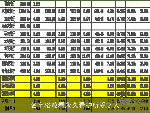 名字格数看永久看护所爱之人