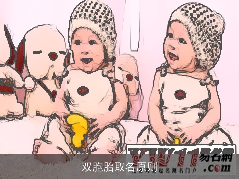双胞胎取名原则