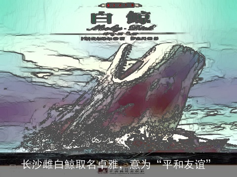 长沙雌白鲸取名卓雅，意为“平和友谊”