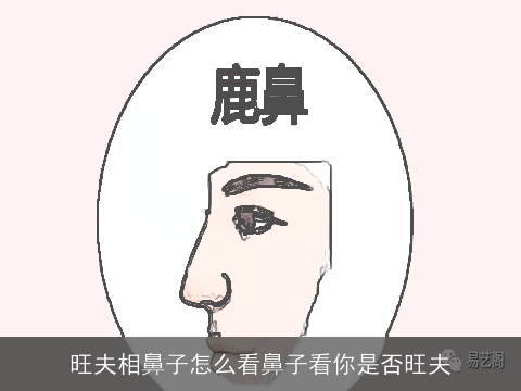 旺夫相鼻子怎么看鼻子看你是否旺夫