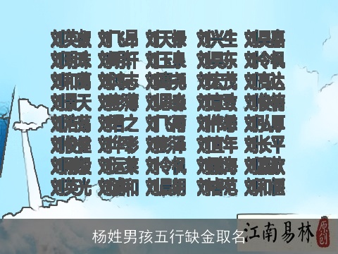 杨姓男孩五行缺金取名