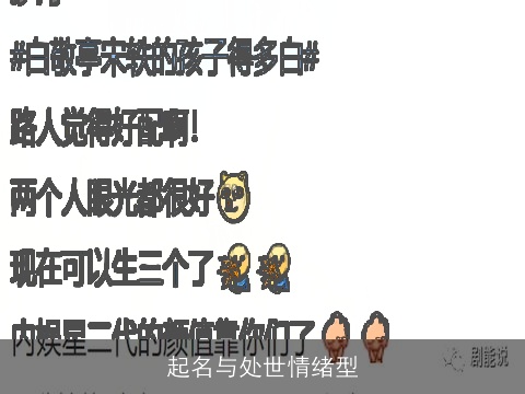 起名与处世情绪型