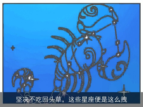 坚决不吃回头草，这些星座便是这么拽