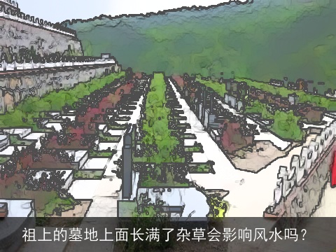 祖上的墓地上面长满了杂草会影响风水吗？