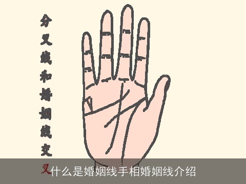什么是婚姻线手相婚姻线介绍