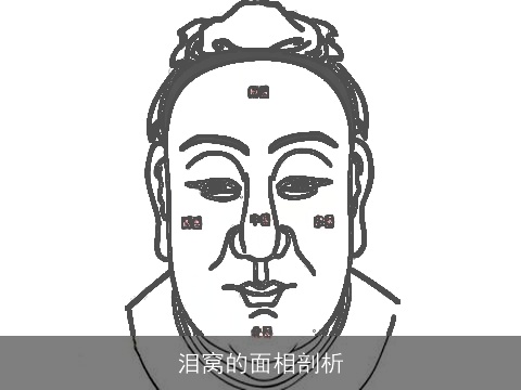 泪窝的面相剖析