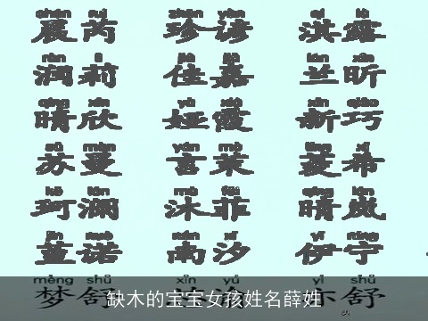 缺木的宝宝女孩姓名薛姓