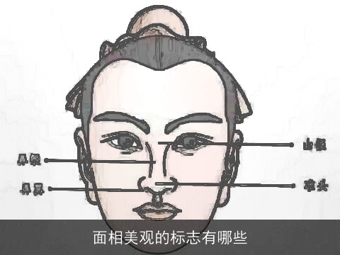 面相美观的标志有哪些