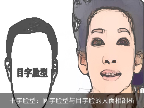 十字脸型：圆字脸型与目字脸的人面相剖析