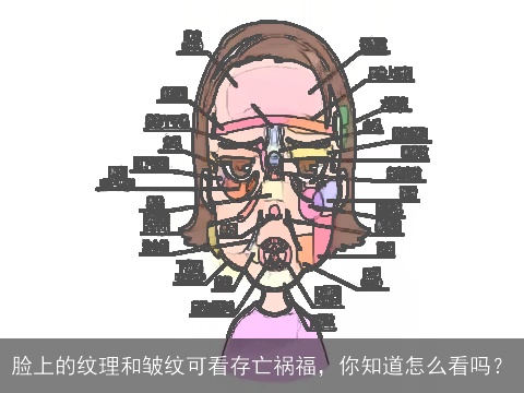 脸上的纹理和皱纹可看存亡祸福，你知道怎么看吗？