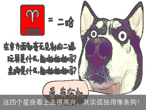 这四个星座看上去很高兴，其实孤独得像条狗！