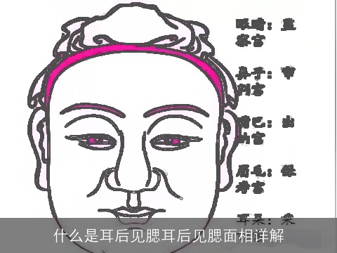 什么是耳后见腮耳后见腮面相详解