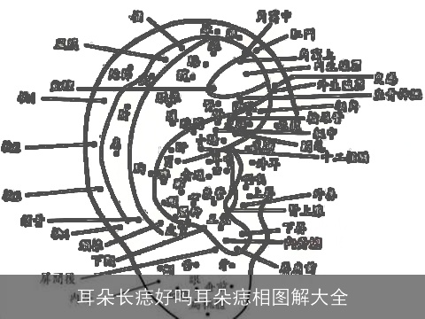 耳朵长痣好吗耳朵痣相图解大全