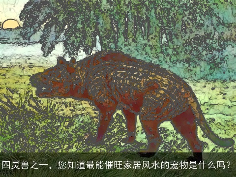 四灵兽之一，您知道最能催旺家居风水的宠物是什么吗？
