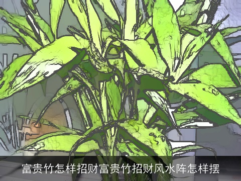 富贵竹怎样招财富贵竹招财风水阵怎样摆