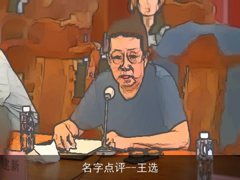 名字点评--王选