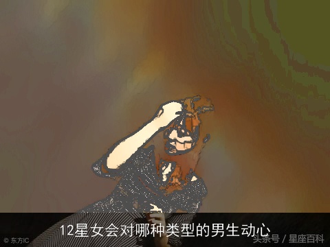 12星女会对哪种类型的男生动心