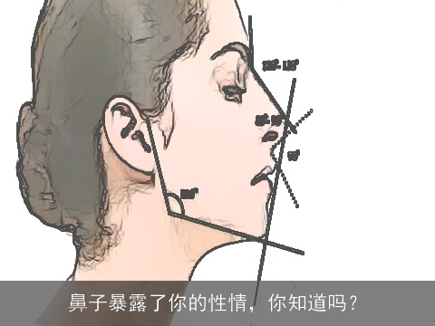 鼻子暴露了你的性情，你知道吗？