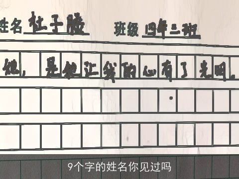9个字的姓名你见过吗