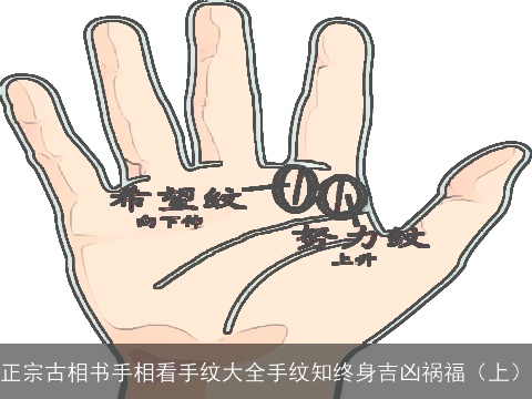 正宗古相书手相看手纹大全手纹知终身吉凶祸福（上）