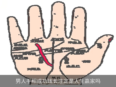 男人手相成功线长注定是人生赢家吗