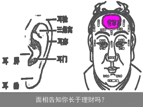面相告知你长于理财吗？