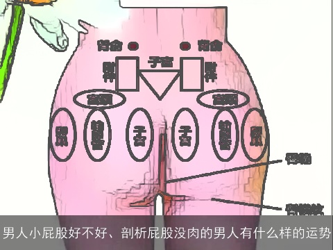 男人小屁股好不好、剖析屁股没肉的男人有什么样的运势