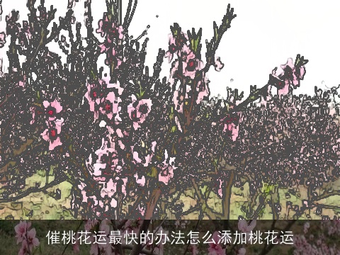 催桃花运最快的办法怎么添加桃花运
