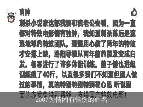 2007为情困有情伤的姓名