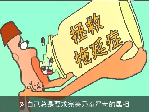 对自己总是要求完美乃至严苛的属相