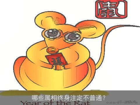 哪些属相终身注定不普通？