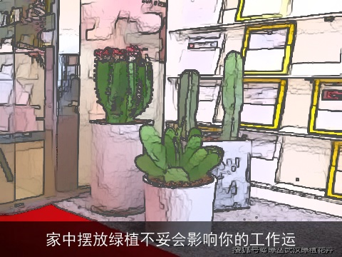家中摆放绿植不妥会影响你的工作运