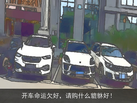 开车命运欠好，请购什么貔貅好！