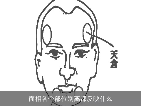 面相各个部位别离都反映什么