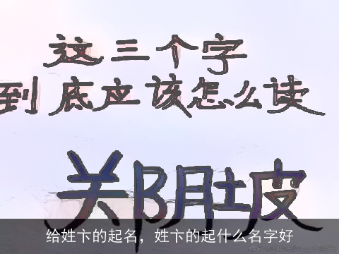 给姓卞的起名，姓卞的起什么名字好