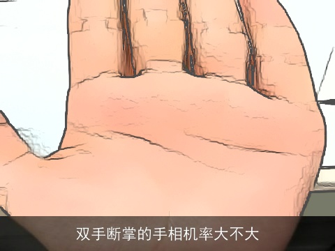 双手断掌的手相机率大不大