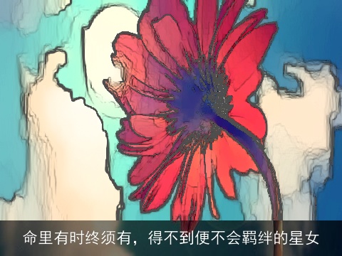 命里有时终须有，得不到便不会羁绊的星女