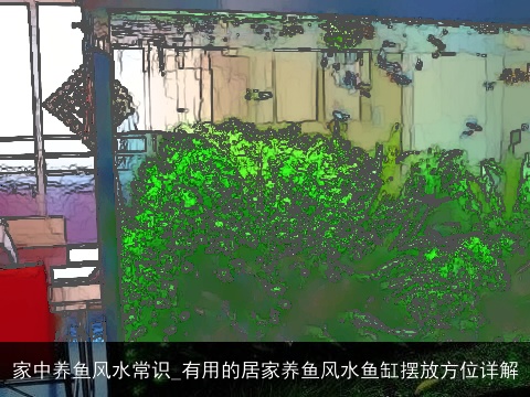 家中养鱼风水常识_有用的居家养鱼风水鱼缸摆放方位详解