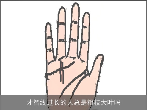 才智线过长的人总是粗枝大叶吗